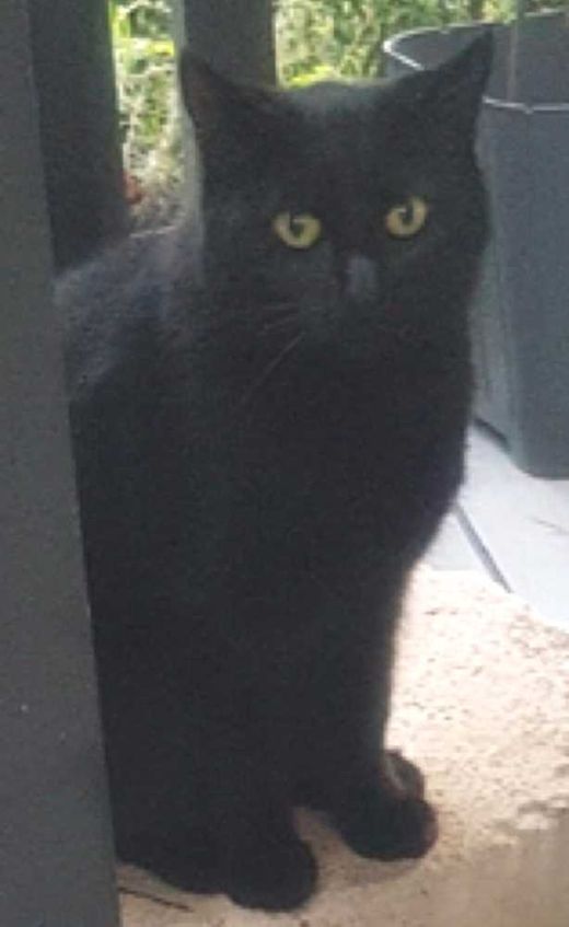 EKH, schwarz